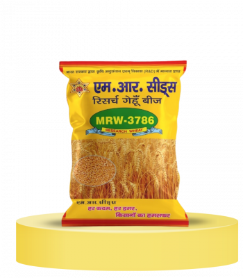 Untitled design - 2022-08-30T143447.713